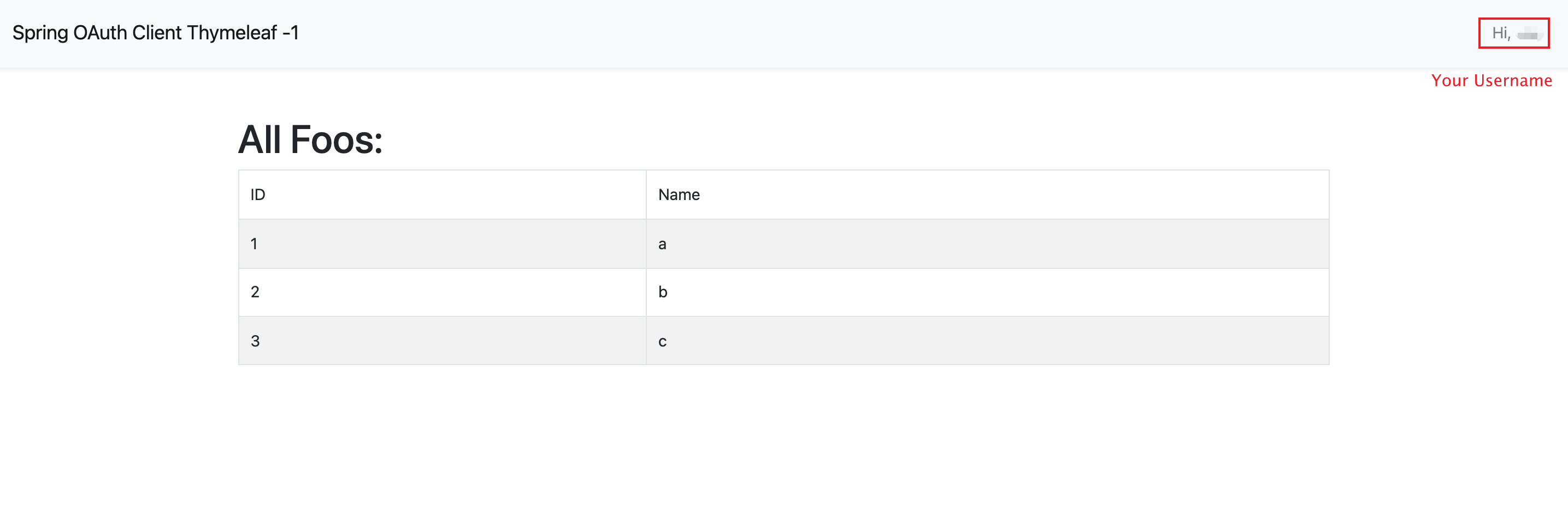 Hanzo IAM Application Setting